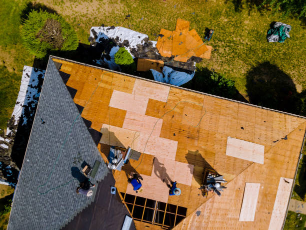 Roof Gutter Cleaning in Guntown, MS