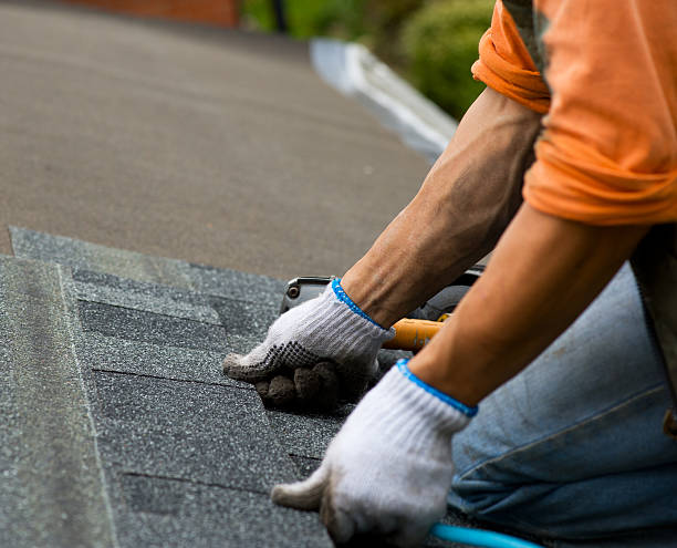 Best Roof Maintenance Services  in Guntown, MS